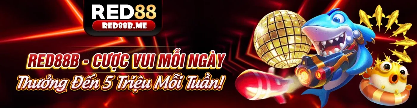 Cài đặt trình duyệt để quản lý cookie và kiểm soát quyền riêng tư NBET